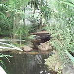 Baru Lodge Panama