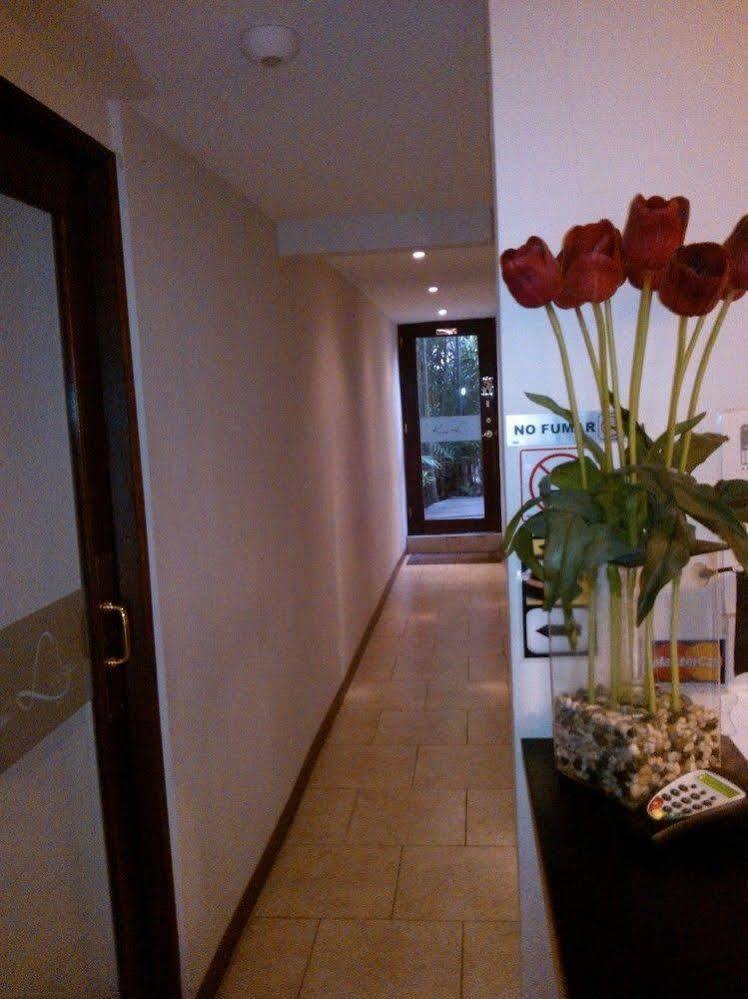 Baru Hotel Panamá